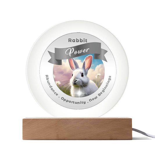Rabbit Spirit Animal Charm USB LED Light ShineOn Fulfillment