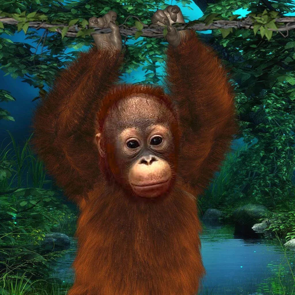 Orangutan - Power Animal - Actively connect to orangutans & the environment through our various gifts for personal growth. What will you discover when you connect with an orangutan and swing in the jungle? - More Than Charms