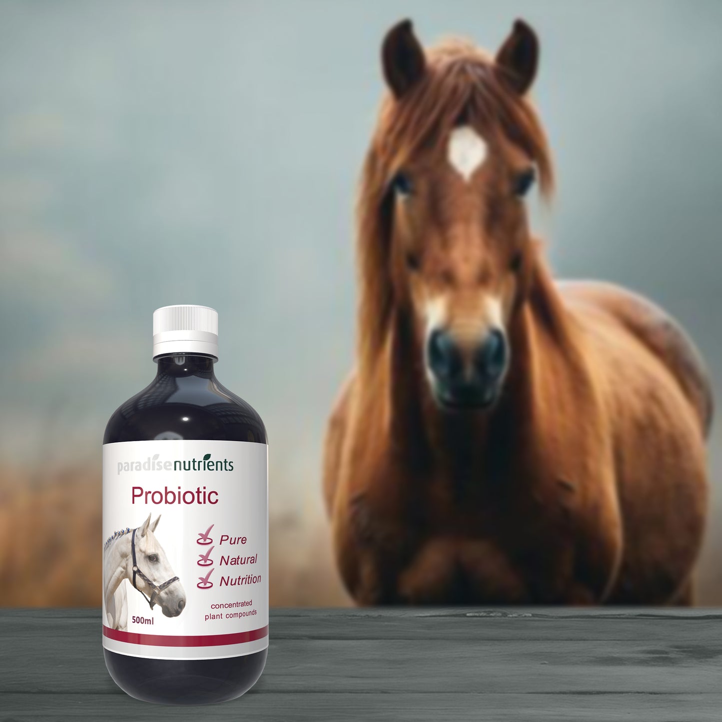 Horse Probiotic Tonic - Paradise Nutrients Paradise Nutrients