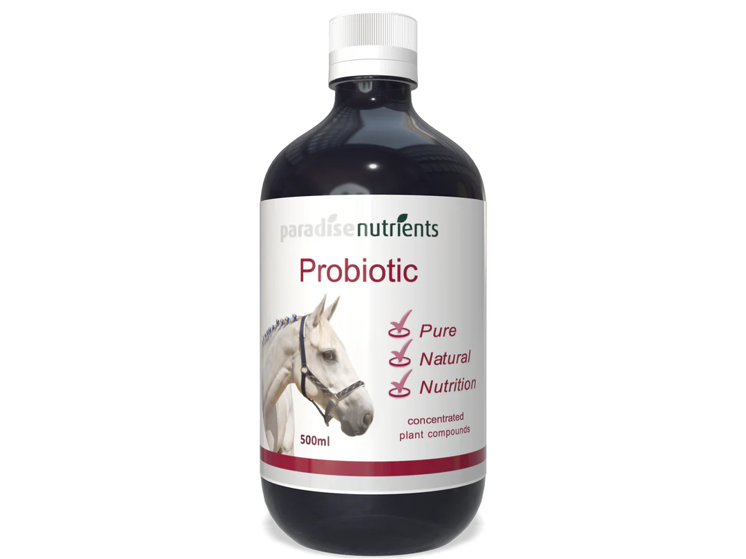 Horse Probiotic Tonic - Paradise Nutrients Paradise Nutrients