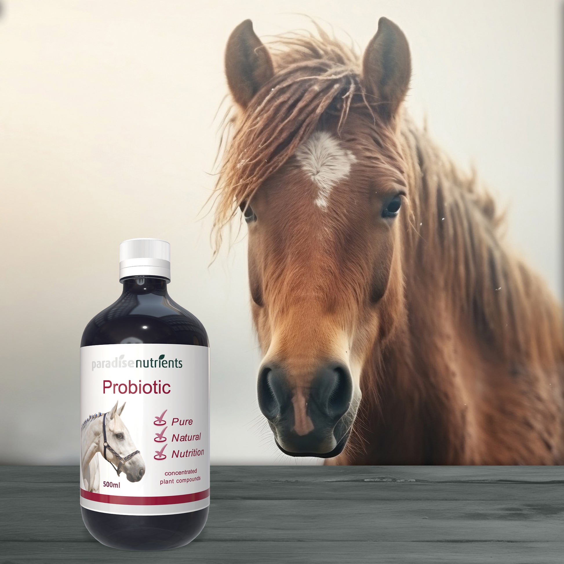 Horse Probiotic Tonic - Paradise Nutrients Paradise Nutrients