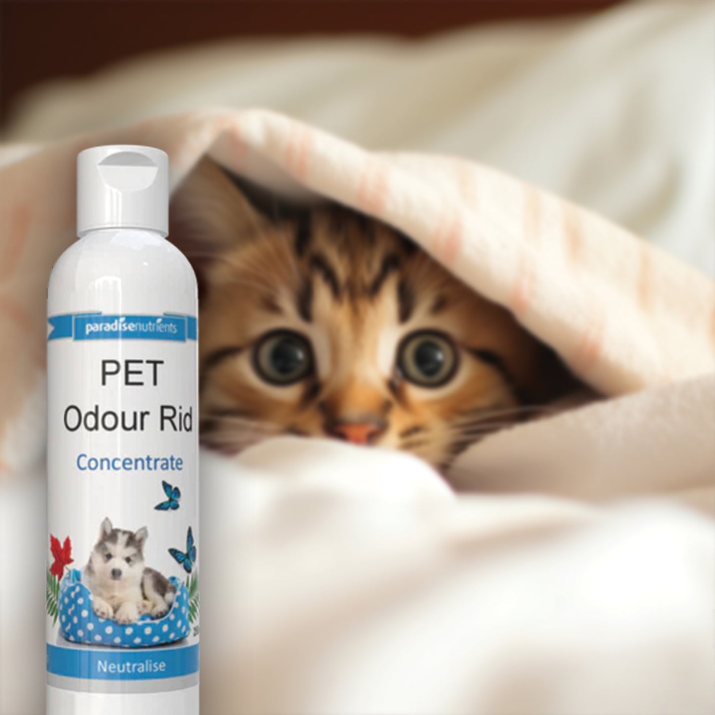 Pet Odour Rid Concentrate Paradise Nutrients