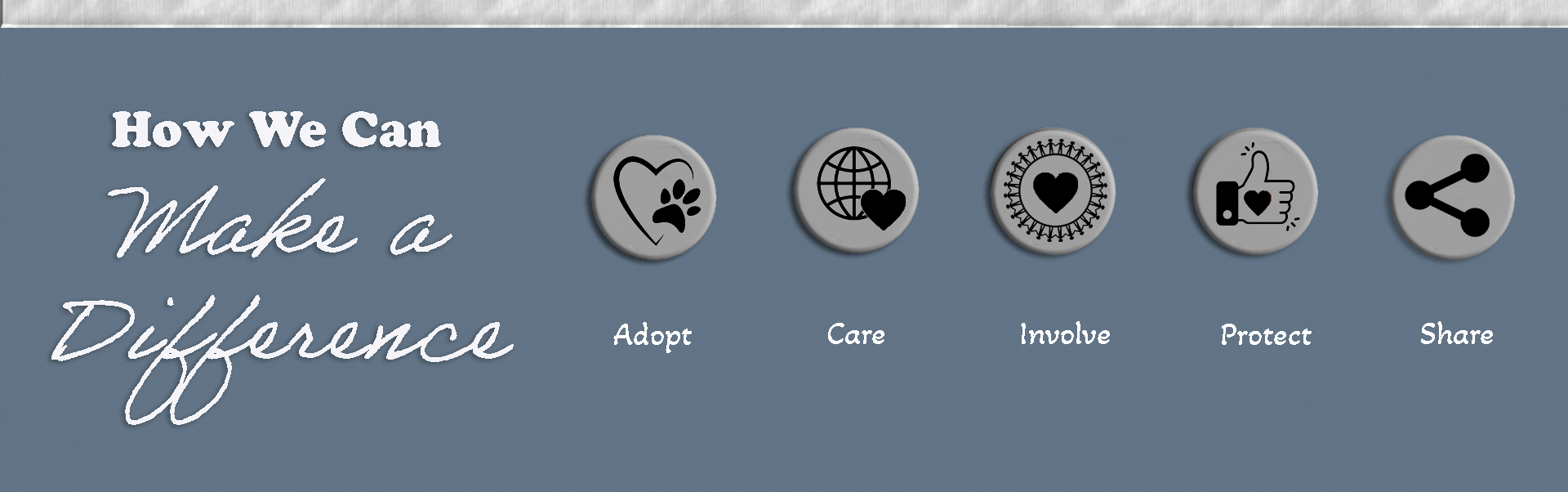 Infographic on making a difference: Adopt, Care, Involve, Protect, Share with icons and call to action.