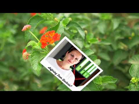 Nature's Rose Deodorant - Paradise Nutrients with natural ingredients, featuring tea tree and roses for effective sweat protection.
