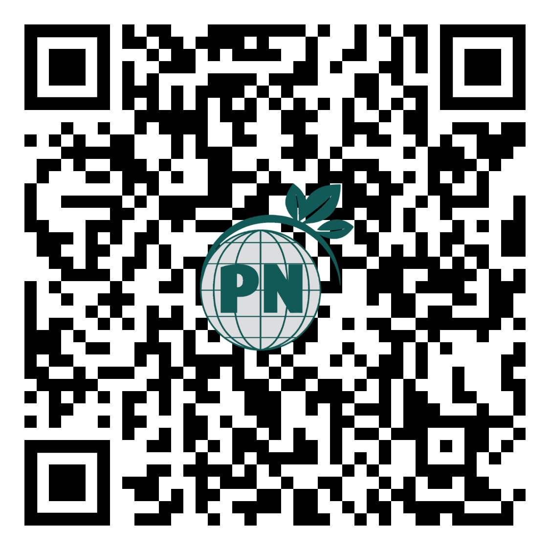 qr-code_3_69f56cd5-0bd0-48a7-90f1-b13f8c3ea12d.png - More Than Charms